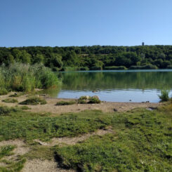 Freiwasser Wienerbergteich