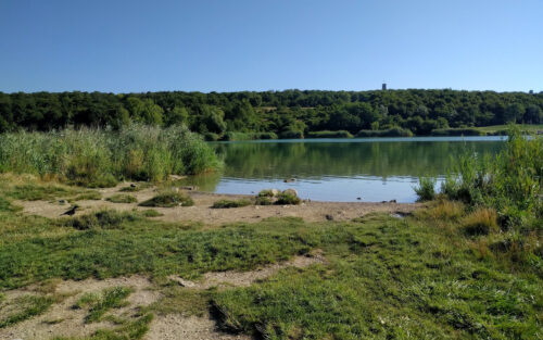 Freiwasser Wienerbergteich